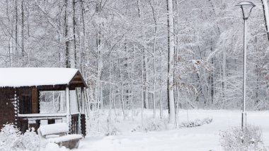 Bir küçük yaprak döken orman arka plan küçük bir evde