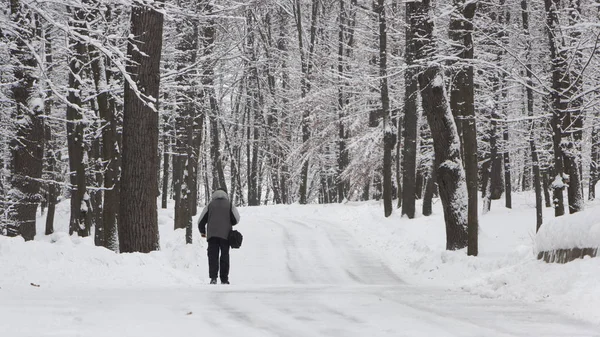 Hombre Caminando Bosque Nevado Día Helado — Foto de Stock