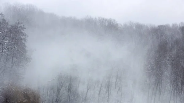 Schneesturm Wald Starker Wind Treibt Eine Schneesäule Berghang Winterlichen Hintergrund — Stockfoto