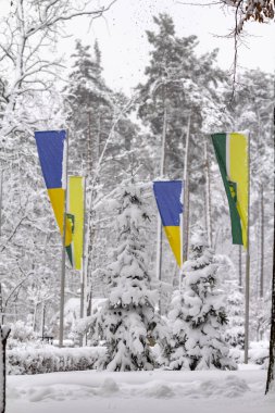 bulutlu bir donma gün karla kaplı bitkiler ile kış park