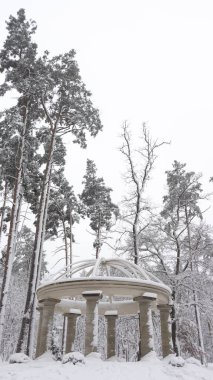 Güzel colonnade Bucha Ukrayna karlı bir parkta