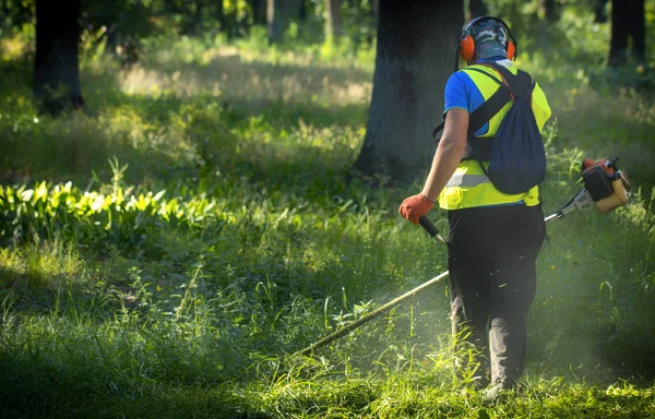 Jardineiro Corta Ervas Daninhas Pequenas Partes Dispersão Vegetação Direções Diferentes — Fotografia de Stock