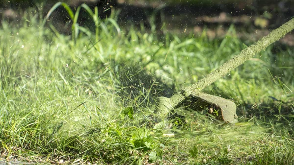 Jardinero Corta Malas Hierbas Pequeñas Partes Vegetación Dispersan Diferentes Direcciones —  Fotos de Stock