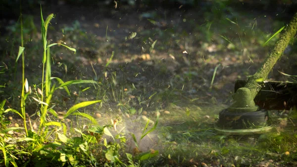Садовник Косит Сорняки Небольшие Участки Растительного Разброса Разных Направлениях — стоковое фото