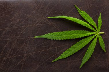 Kenevir kağıt beyaz bir arka plan üzerinde Kapat