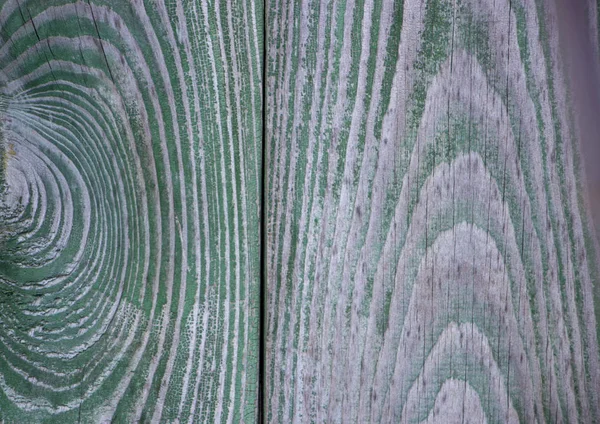 旧木墙背景或质地旧木墙漆成绿色 — 图库照片
