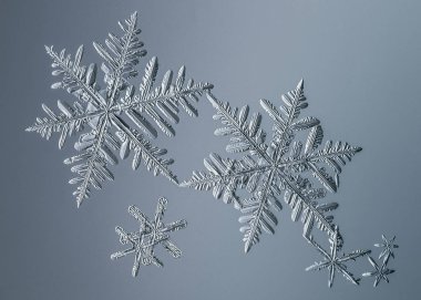 Güzel kar tanesi üzerinde açık mavi renkli yakın çekim