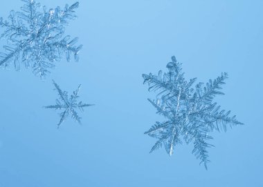 Güzel kar tanesi üzerinde açık mavi renkli yakın çekim