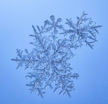 Güzel kar tanesi üzerinde açık mavi renkli yakın çekim