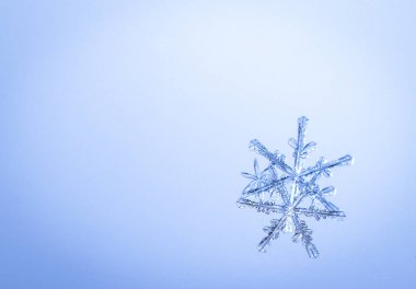 Güzel kar tanesi üzerinde açık mavi renkli yakın çekim