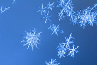 Güzel kar tanesi üzerinde açık mavi renkli yakın çekim