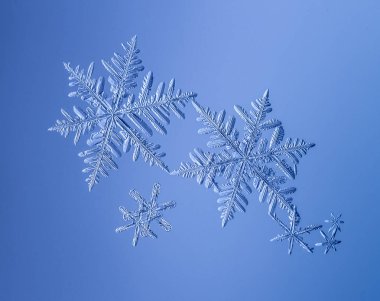 Güzel kar tanesi üzerinde açık mavi renkli yakın çekim