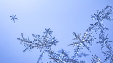 Güzel kar tanesi üzerinde açık mavi renkli yakın çekim