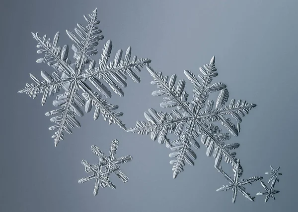 Floco Neve Bonito Fundo Azul Claro Close — Fotografia de Stock