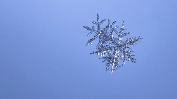 Floco Neve Bonito Fundo Azul Claro Close — Fotografia de Stock