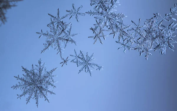 Beautiful Snow Flake Light Blue Background Close — Stock Photo, Image