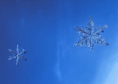 Güzel kar tanesi üzerinde açık mavi renkli yakın çekim