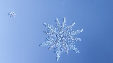 Güzel kar tanesi üzerinde açık mavi renkli yakın çekim