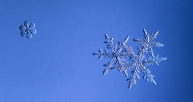 Güzel kar tanesi üzerinde açık mavi renkli yakın çekim