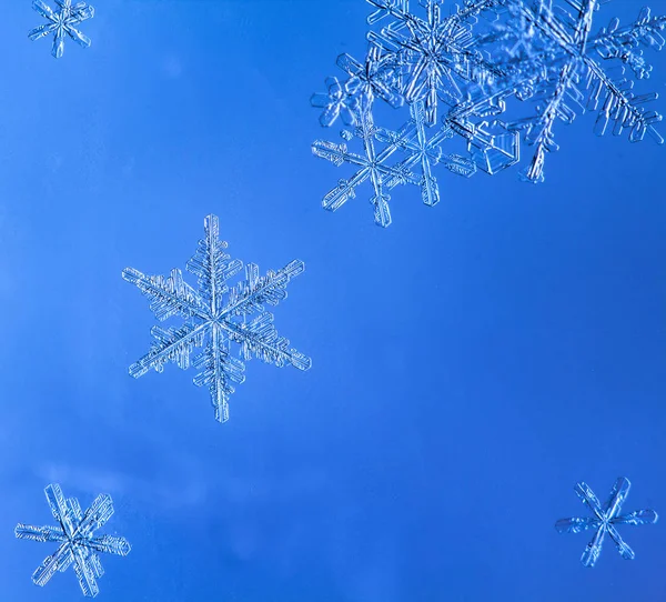 Güzel kar tanesi üzerinde açık mavi renkli yakın çekim