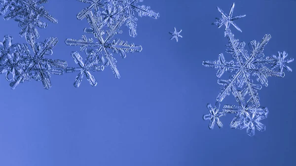 Красивая Снежинка Голубом Фоне Крупным Планом — стоковое фото