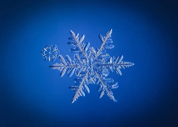水色の背景のクローズ アップで美しい雪のフレーク — ストック写真