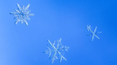 Güzel kar tanesi üzerinde açık mavi renkli yakın çekim