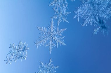 Güzel kar tanesi üzerinde açık mavi renkli yakın çekim