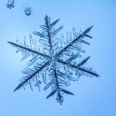 Güzel kar tanesi üzerinde açık mavi renkli yakın çekim