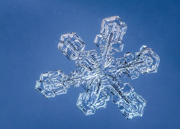 Красивий Снігопад Світло Блакитному Фоні Крупним Планом — стокове фото