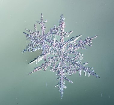 Güzel kar tanesi üzerinde açık mavi renkli yakın çekim