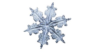 Güzel kar tanesi üzerinde açık beyaz renkli yakın çekim