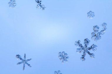 Güzel kar tanesi üzerinde açık mavi renkli yakın çekim