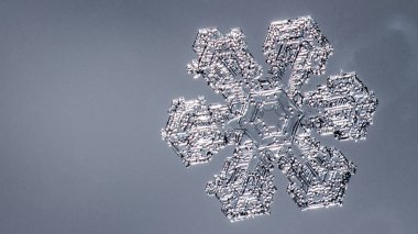 Güzel kar tanesi üzerinde açık gri renkli yakın çekim