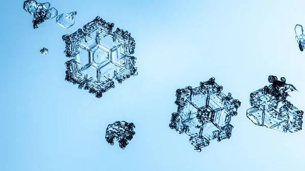 Beautiful Snow Flake Light Blue Background Close — Stock Photo, Image