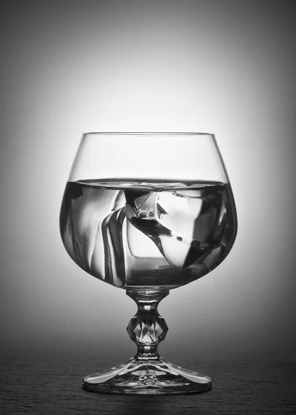 Nero Bianco Foto Bicchiere Brandy Close — Foto Stock