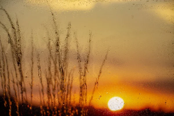 Gouttelettes Eau Sur Panneau Fenêtre Avec Beaux Paysages Déconcentrés Extérieur — Photo