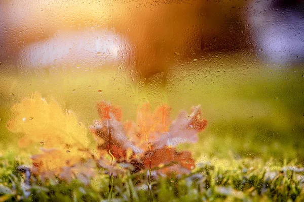 Gotas Água Painel Janela Com Belas Paisagens Desfocadas Fora Contexto — Fotografia de Stock