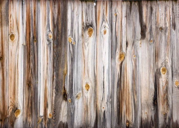 close up background of Yellow wood texture.