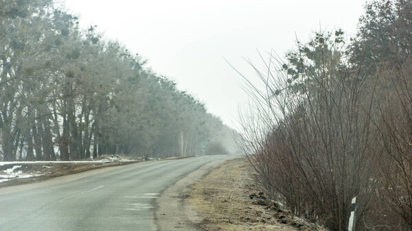 Утренняя сельская дорога ранней весной с небольшим туманом на горизонте
