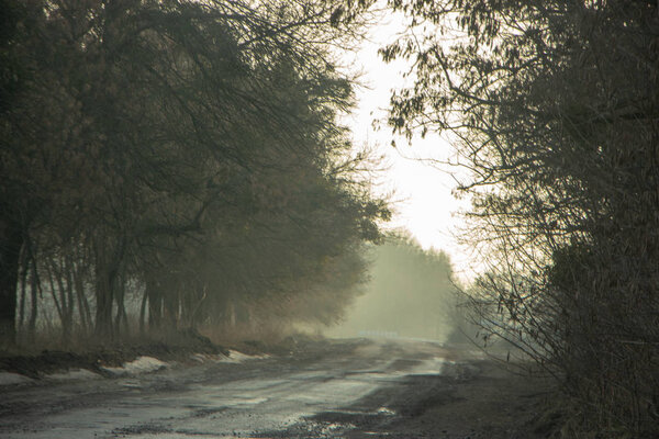 Утренняя сельская дорога ранней весной с небольшим туманом на горизонте
