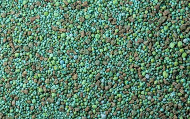 iğne yapraklı bitkiler için yeşil mineral, mikroelementler gübre dokusu ile