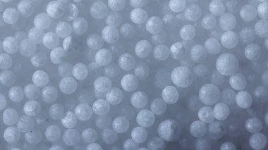 Beyaz mineral gübre, amonyum nitrat, ilkbaharda mısır gevreğine uygulanması için.