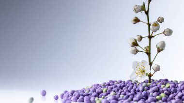 Mineral gübrelerden yetişen çiçek. Konsept Yakın Çekim