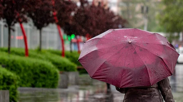 La gente si nasconde dalla pioggia sotto gli ombrelloni in una giornata piovosa sulla strada della città concetto di cattivo tempo — Foto Stock