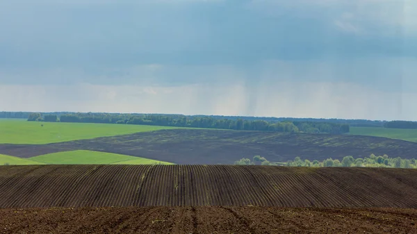 Pluie sur les champs agricoles, nuages orageux lourds arrosent lentement les champs — Photo