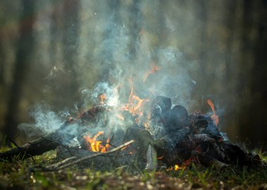Ormanda şenlik ateşi. Yangın tehlikesi