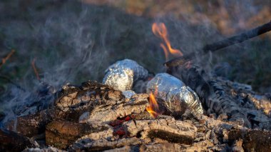 Ormanda şenlik ateşi. Yangın tehlikesi