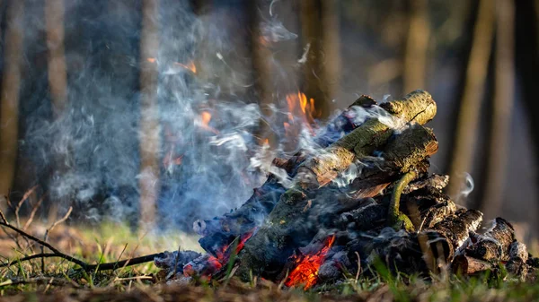 Bonfire dans la forêt en vacances. Risque d'incendie — Photo