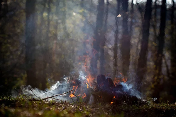 Fogueira na floresta de férias. Risco de incêndio — Fotografia de Stock